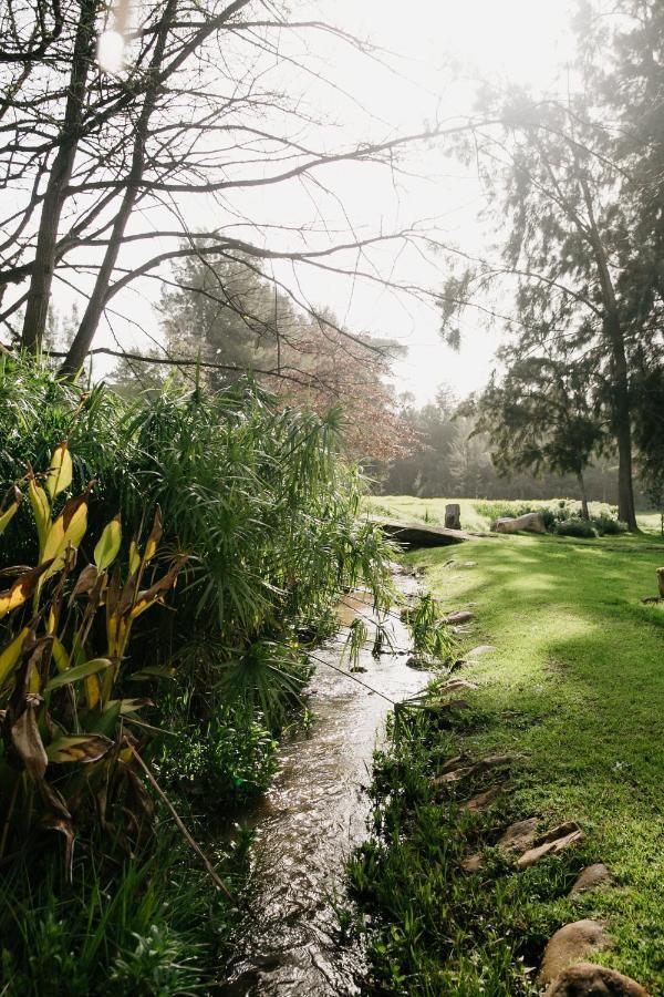 Knorhoek Country Guesthouse Stellenbosch Bagian luar foto